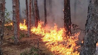 Пожарът в Гърция приближава бавно към България