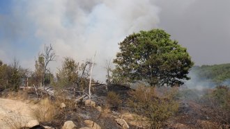 Пожарът в Цалапица обгази Пловдив