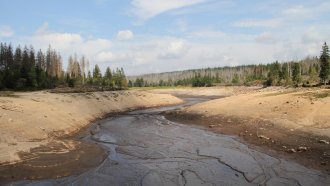 Възможна е сделка вода срещу ток между България и Турция