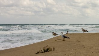 Опасно горещо време в 11 области днес, слабо захлаждане другата седмица