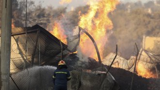 Горските пожари:по-малко на брой, но по-опустошителни