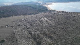 "Драма няма": Гора, залесена с европари, се изсича за соларен парк